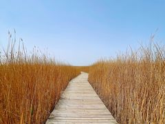 -野鸭湖国家湿地公园