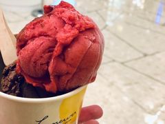 树莓雪葩-LUNEURS月乐诗 冰淇淋咖啡(环贸店)