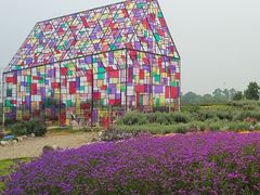 -紫颐香薰山谷景区