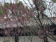 -成都武侯祠博物馆