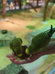 -酷嗒动物文化乐园(cutezoo西溪乐天城店)