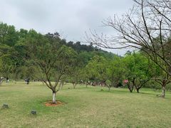 -常德桃花源景区