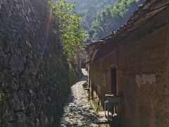-杨家堂村