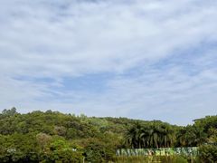 -深圳野生动物园