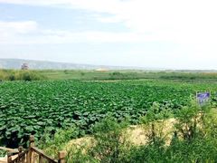 -处女泉风景名胜区