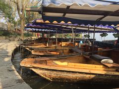 -西湖外事游船(花港观鱼码头)