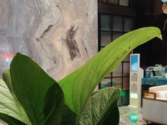 -铂尔登国际酒店(南山深圳湾口岸店)