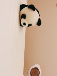 -美丽田园Beauty Farm