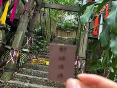 -西双版纳原始森林公园
