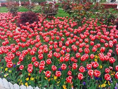 -无锡市市民中心