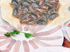 -美未居·老字号·地道顺德菜·桑拿鸡·鱼生(容桂店)