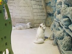 -华夏文旅海洋公园