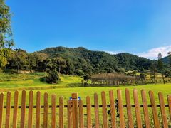 -东钱湖旅游度假区