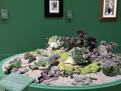 -德基艺术博物馆