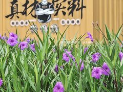 -金山记靓鸡专门店·中山菜