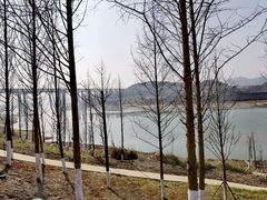 -金海湾滨江公园