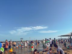 -碧海金沙