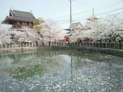 -天王寺公园