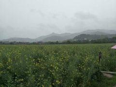 -古田会议纪念馆