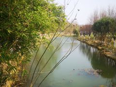 -洋湖国家湿地公园