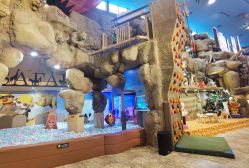 -卡通尼·Safari非洲探索乐园·生日会(金桥国际商业广场店)