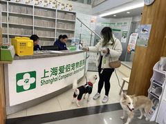 -爱侣宠医·鹦鹉专科·小型哺乳类·异宠专科(灵石路店)