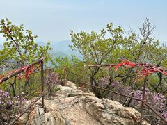 -大连天门山国家森林公园