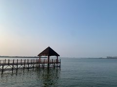 -瑶湖郊野森林公园