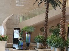 -常州环球恐龙城维景国际大酒店