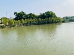 -八大山人梅湖景区