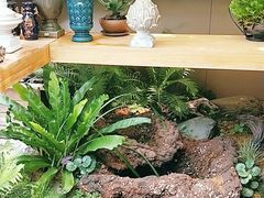 -厚山庭院重庆老火锅