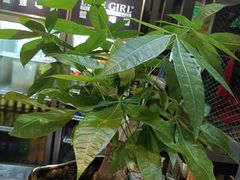 -湘当爱·鲜煮现炒(松岗立业路店)
