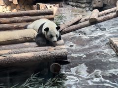 -济南野生动物世界