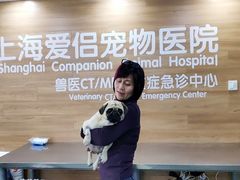 -爱侣宠医·鹦鹉专科·小型哺乳类·异宠专科(灵石路店)