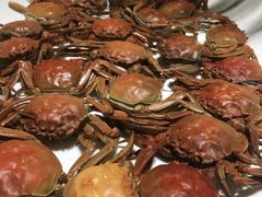 -东方红海鲜百汇(国际大厦店)