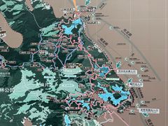 -阳台山森林公园