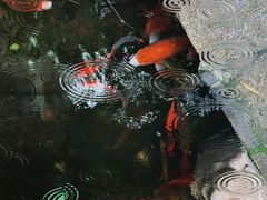 -31号公馆(黄兴广场白果园店)