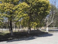 -通略驾校(新村路店)