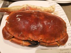 -星汇餐厅(新濠影汇店)