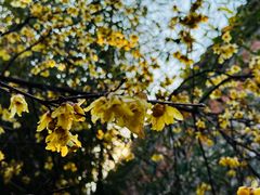 -西安大兴汤院遗址公园