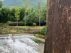 -东天目山风景区