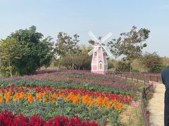 -泗洪洪泽湖湿地景区