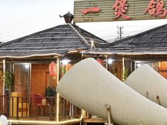 -一煲鸽