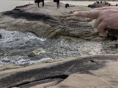 -老虎石海上公园