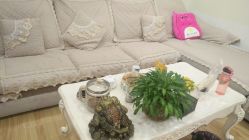 -康乃馨·馨悦佳人(鹭江店)