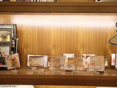 -喵园·猫主题咖啡厅·撸猫·猫咖(国贸店)