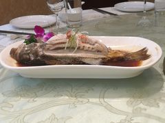 -府苑美食(政七街店)