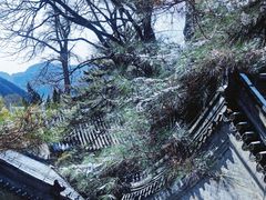 -潭柘寺景区