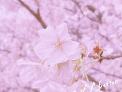 -同济大学(嘉定校区)