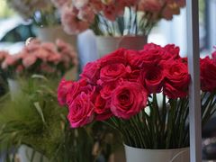 -奔驰上海利星(七宝店)